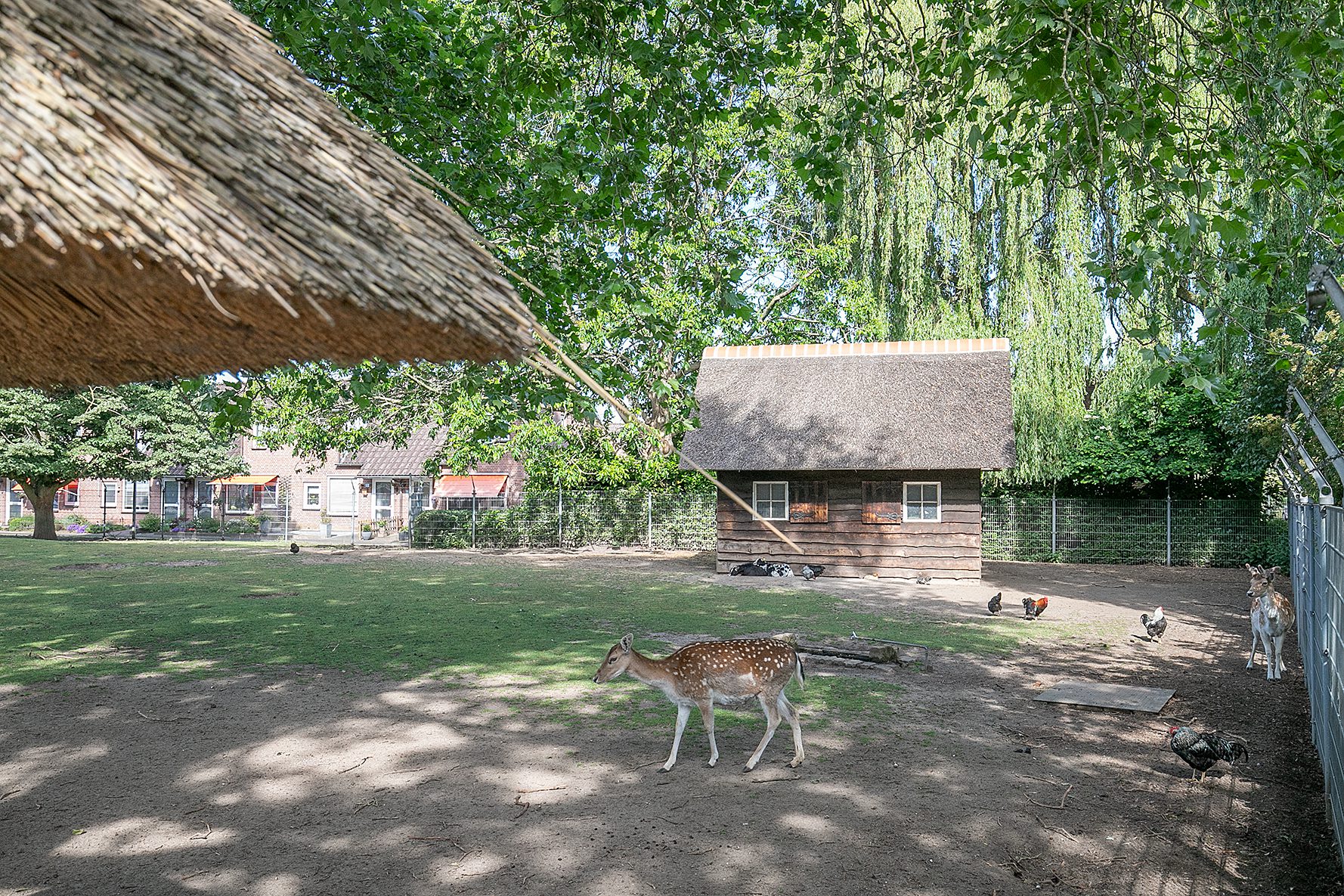 Image 43