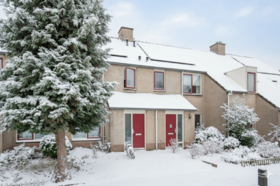 A rental house advertisment